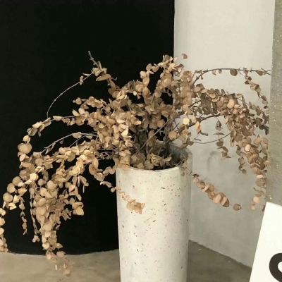 Furry绘画动态表现兽圈社群